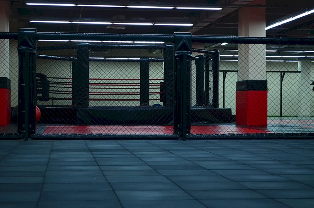 Kampfsportstudio