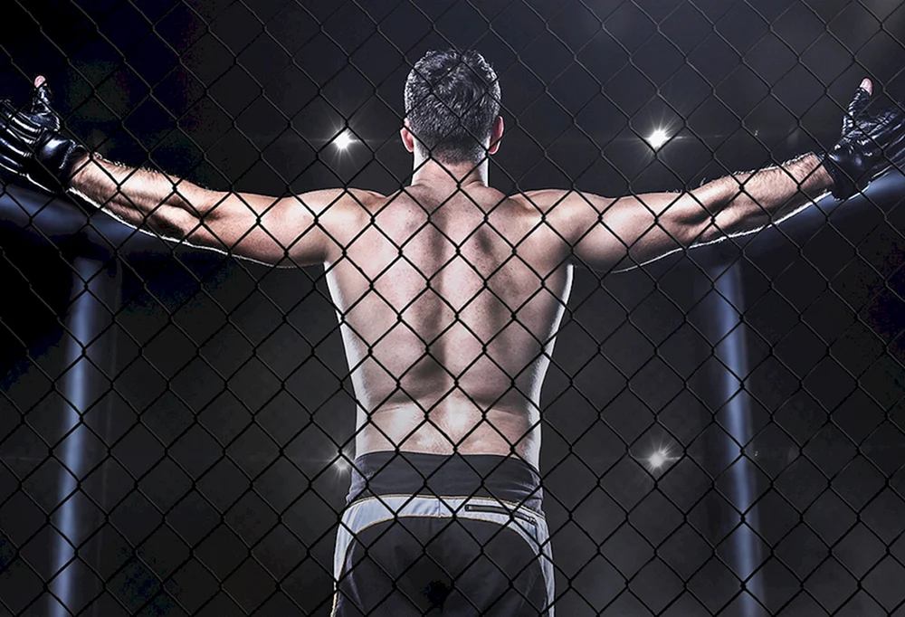 UFC MMA Tapete Boxen