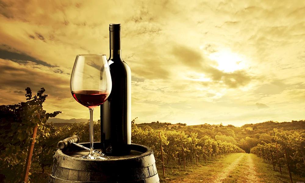 Bokal Wein