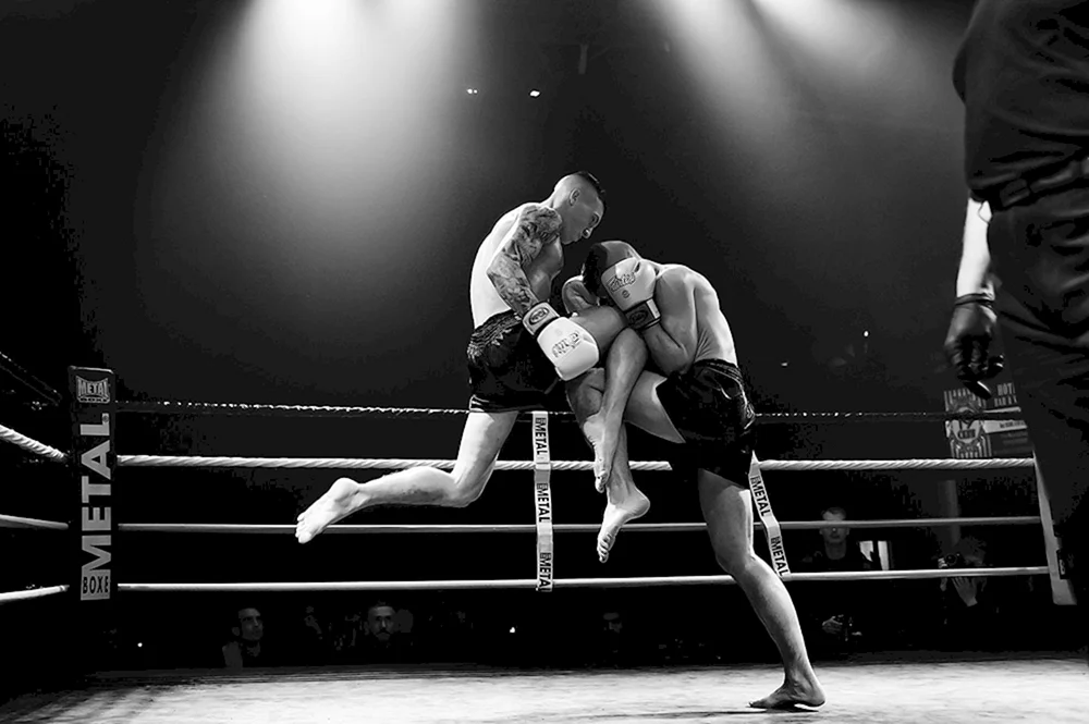 Boxer im Ring