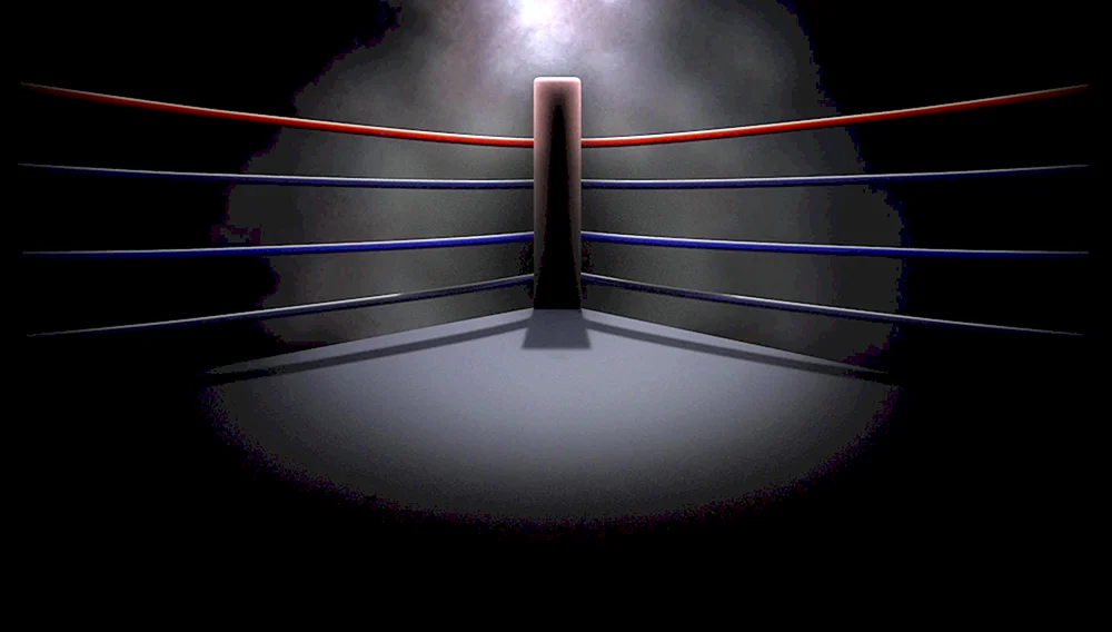 UFC MMA Hintergrund
