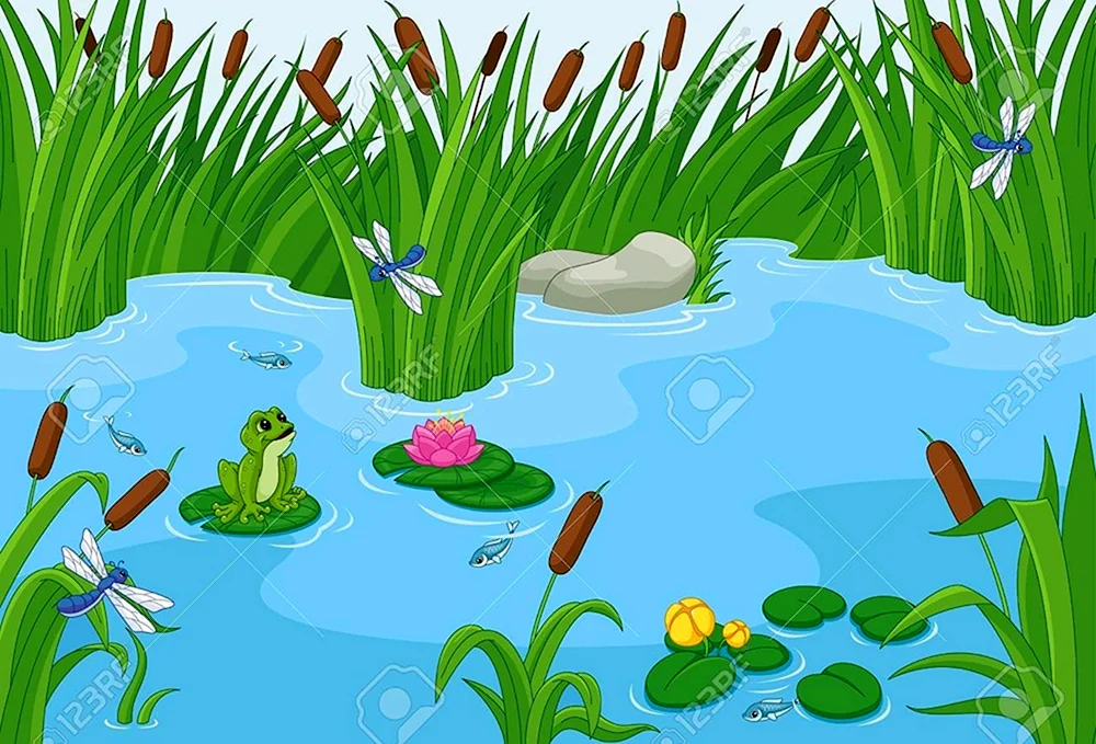 Frosch im Teich