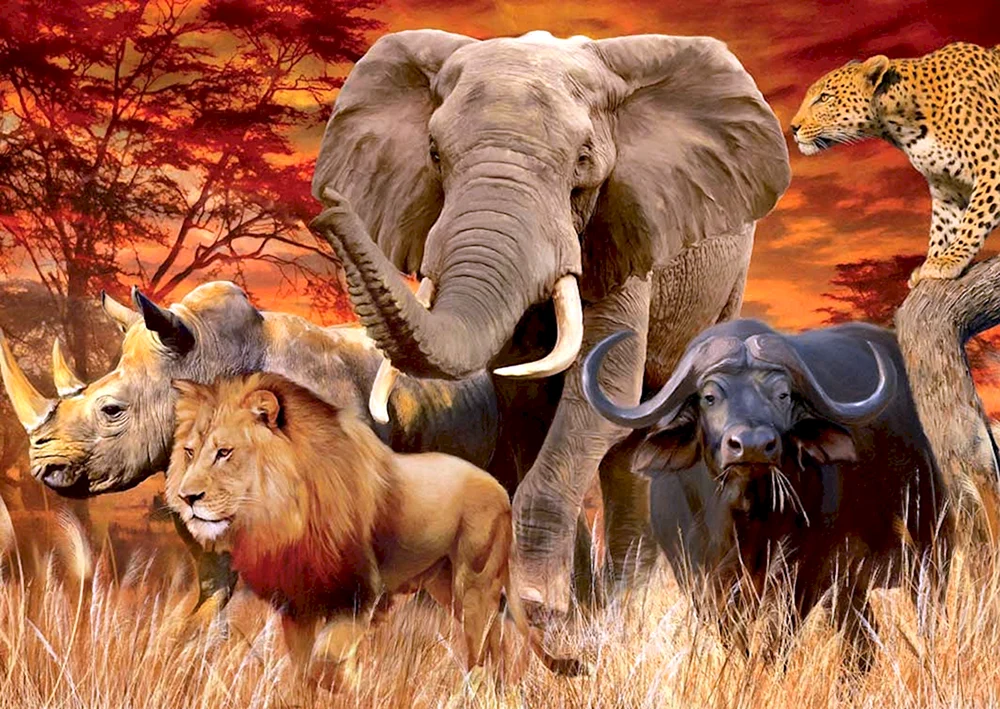 Wilde Tiere Afrikas
