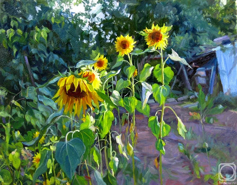 Tutunov Künstler Gemälde Sonnenblumen