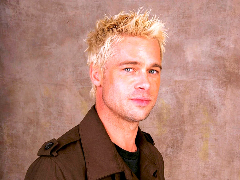 Brad Pitt Haarschnitt Hedgehog