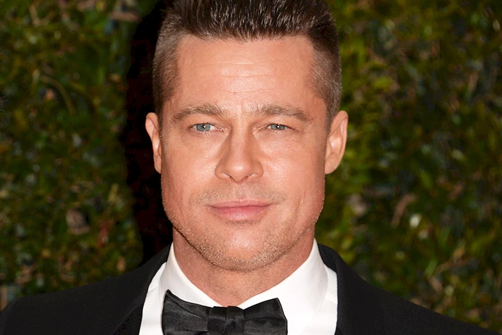 Brad Pitt hedgehog haircut