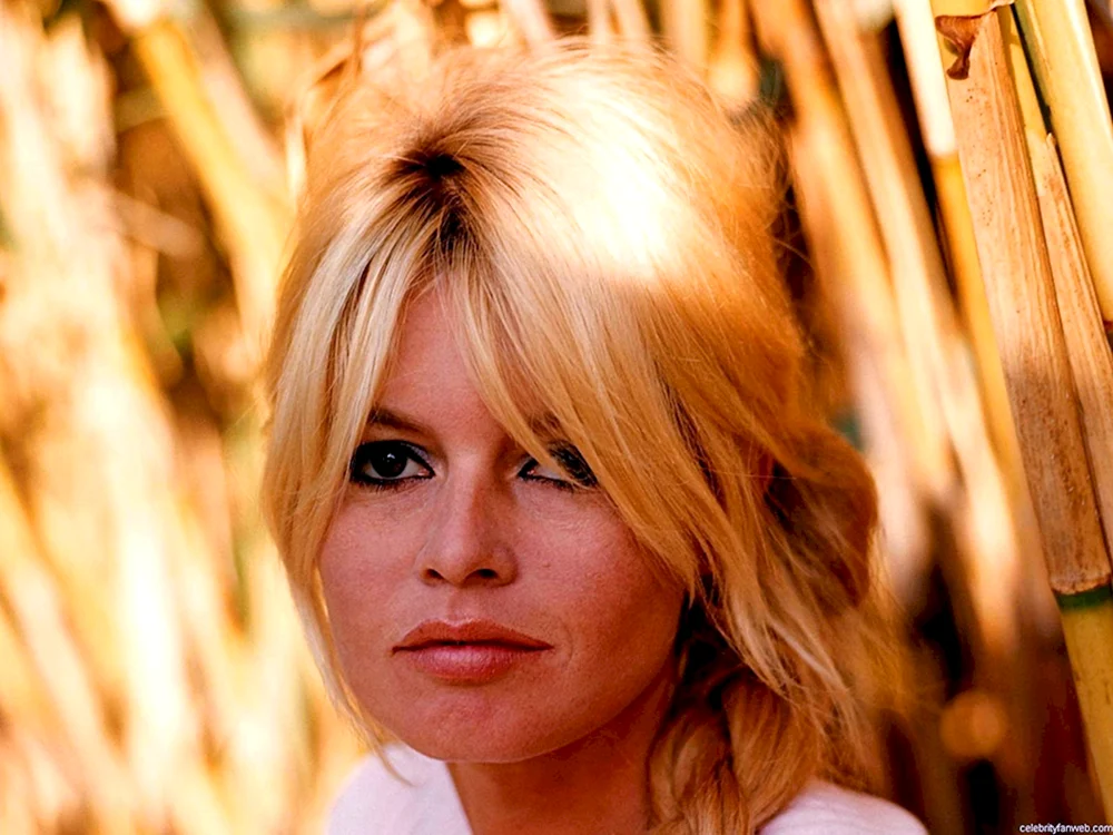 Bridget Bardot