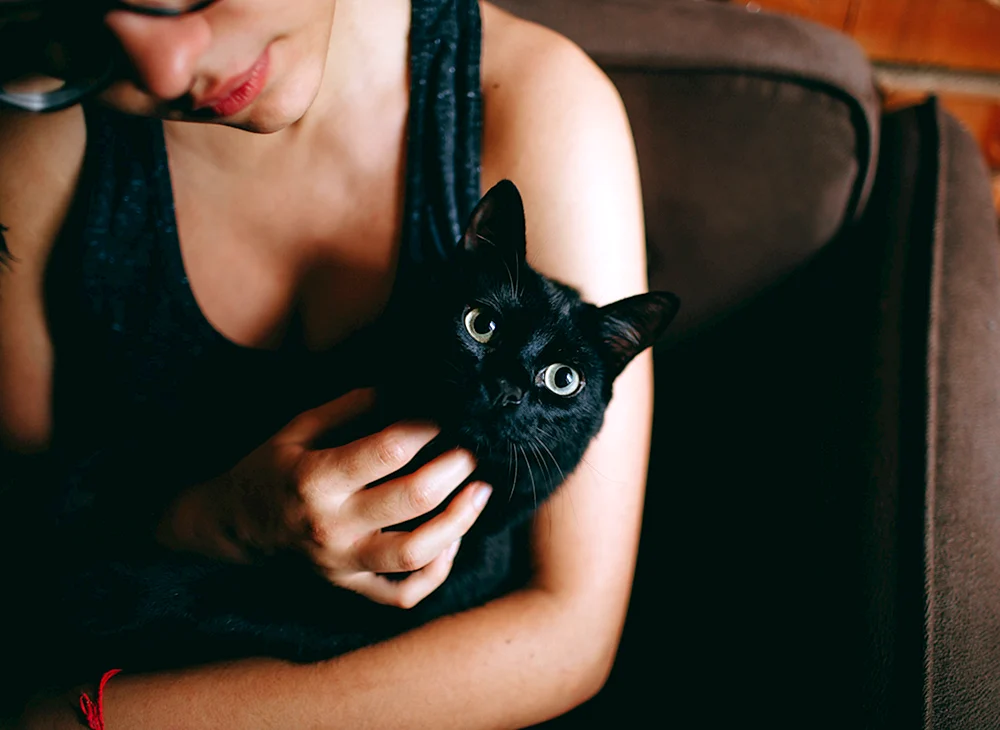 Brunette Mädchen mit schwarzer Katze