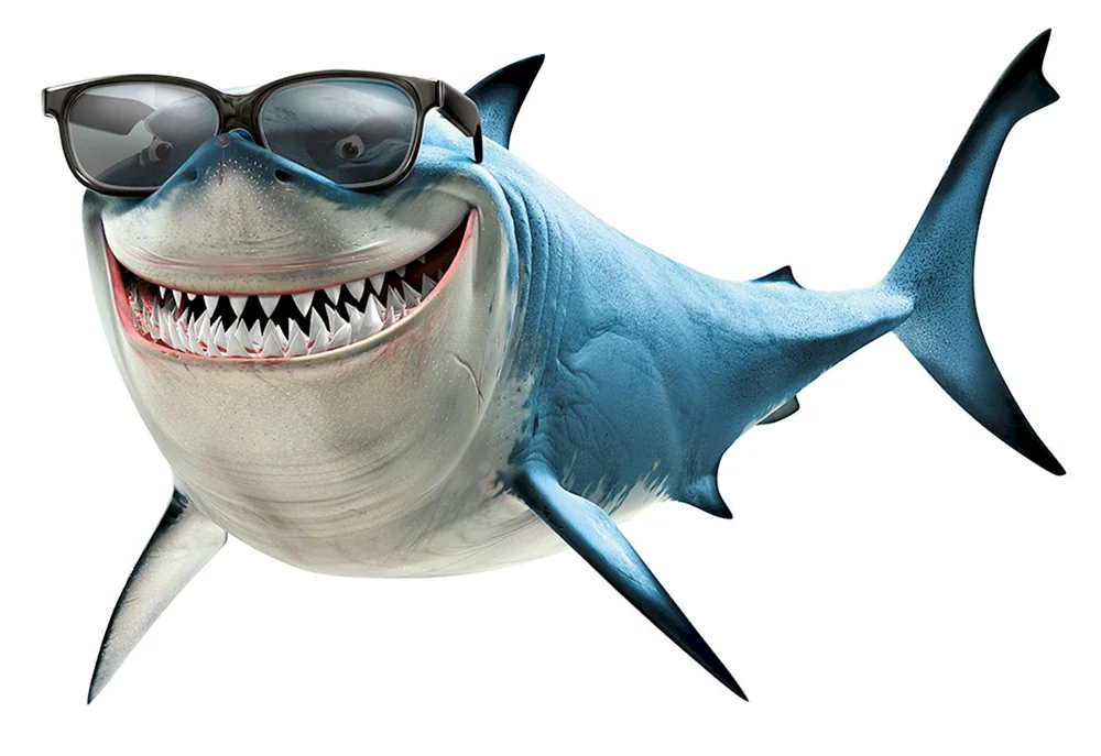 Bruce Nemo Hai