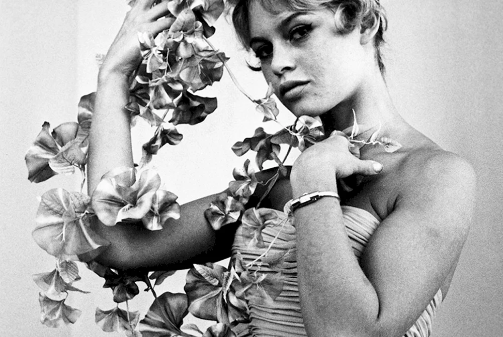 Bridget Bardot's hairstyle