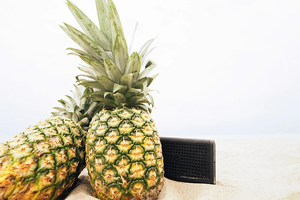 Ananas