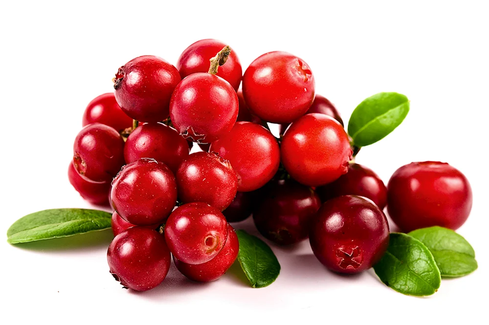 Cranberries 1 Beere