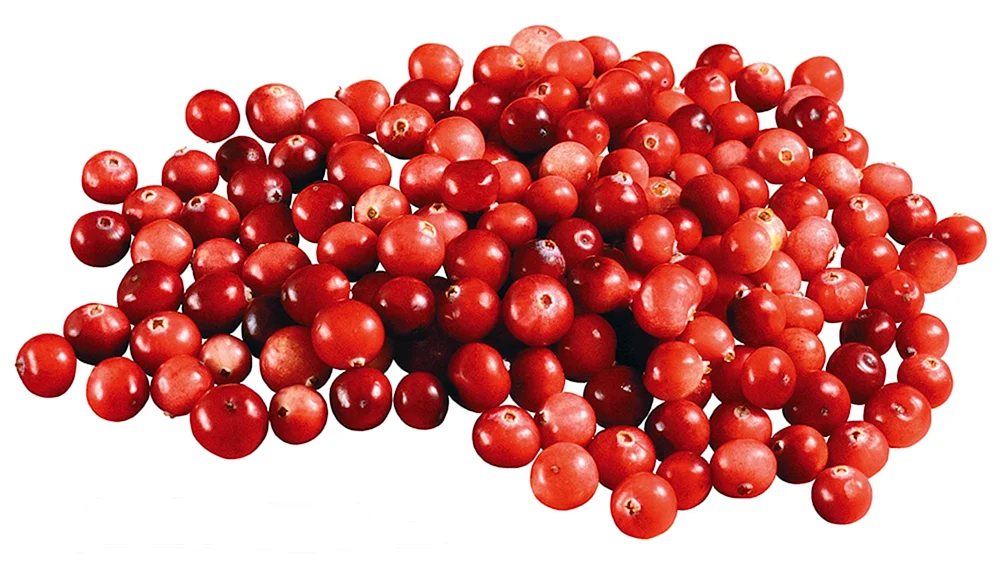 Cranberries 1 Beere