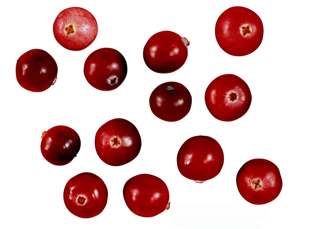 Kirschenbeeren 1 Beere