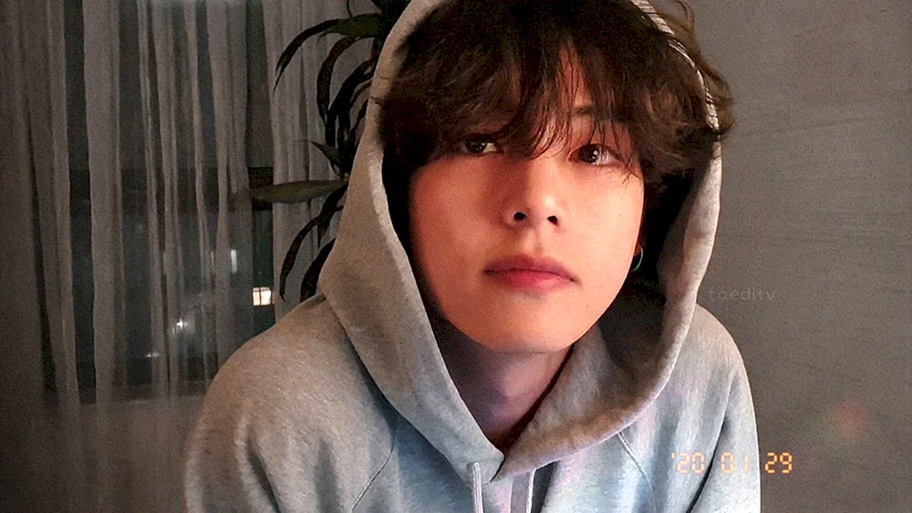BTS Taehyung 2020