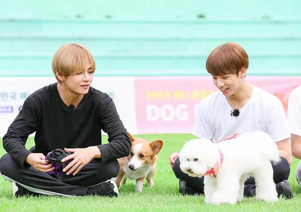 Entan BTS