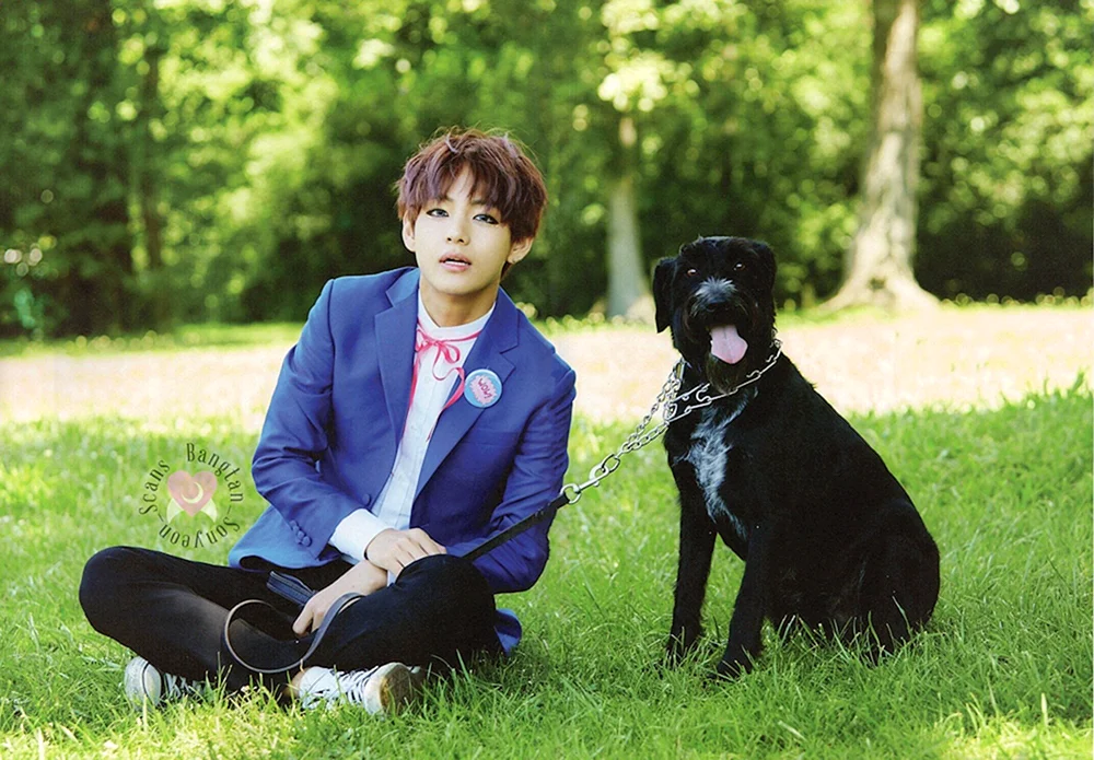 Kim Taehyuns Hund