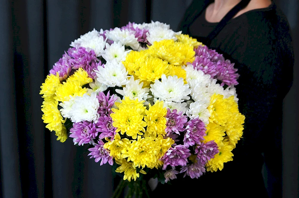 Magnum weißer Chrysanthemenstrauß