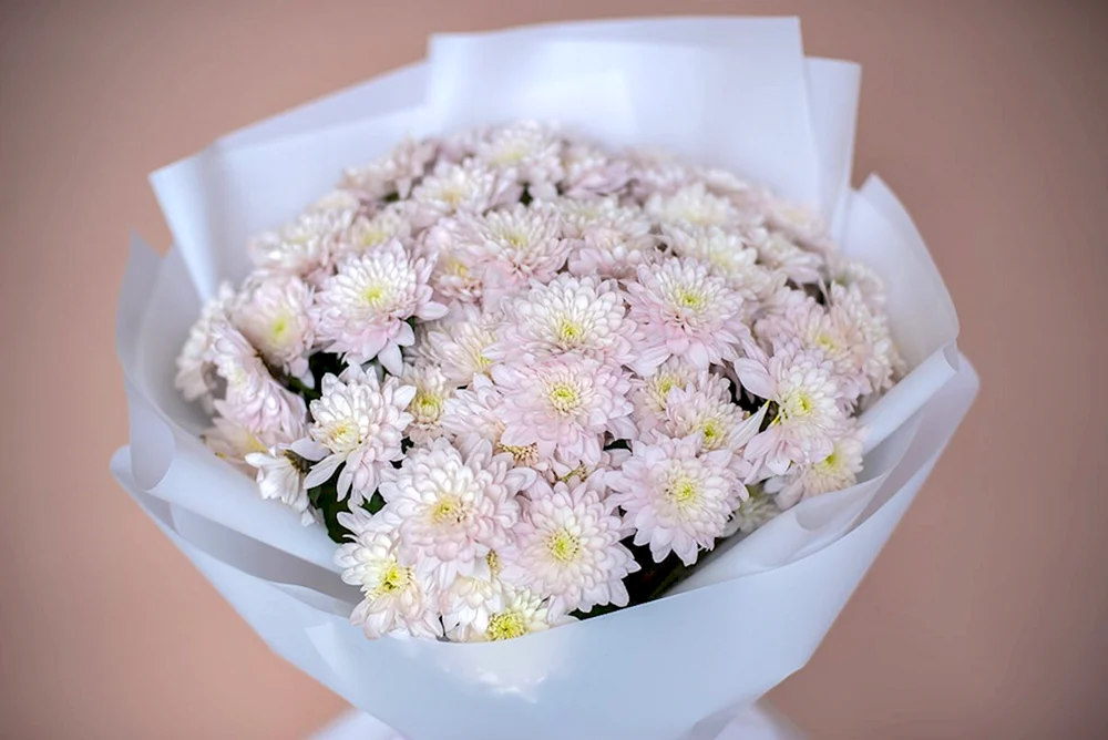 Chrysanthemenmix Kenia