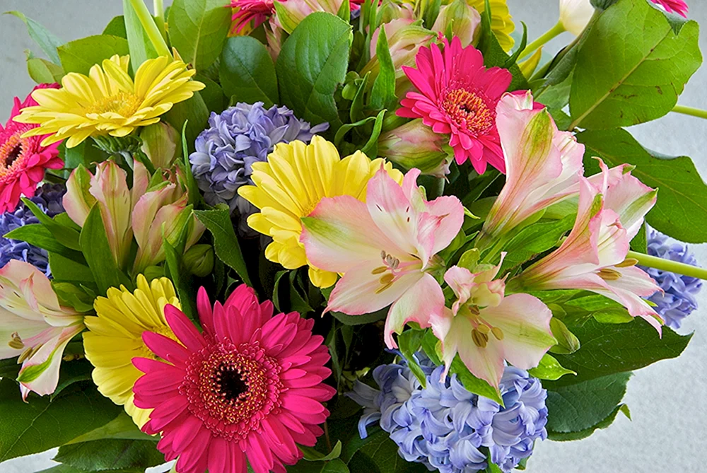 Strauß aus Gerbera und Lilien