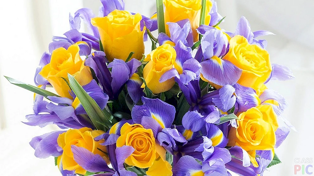 Iris Blue Magic Bouquet