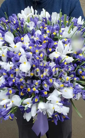 Iris- und Lisianthusstrauß