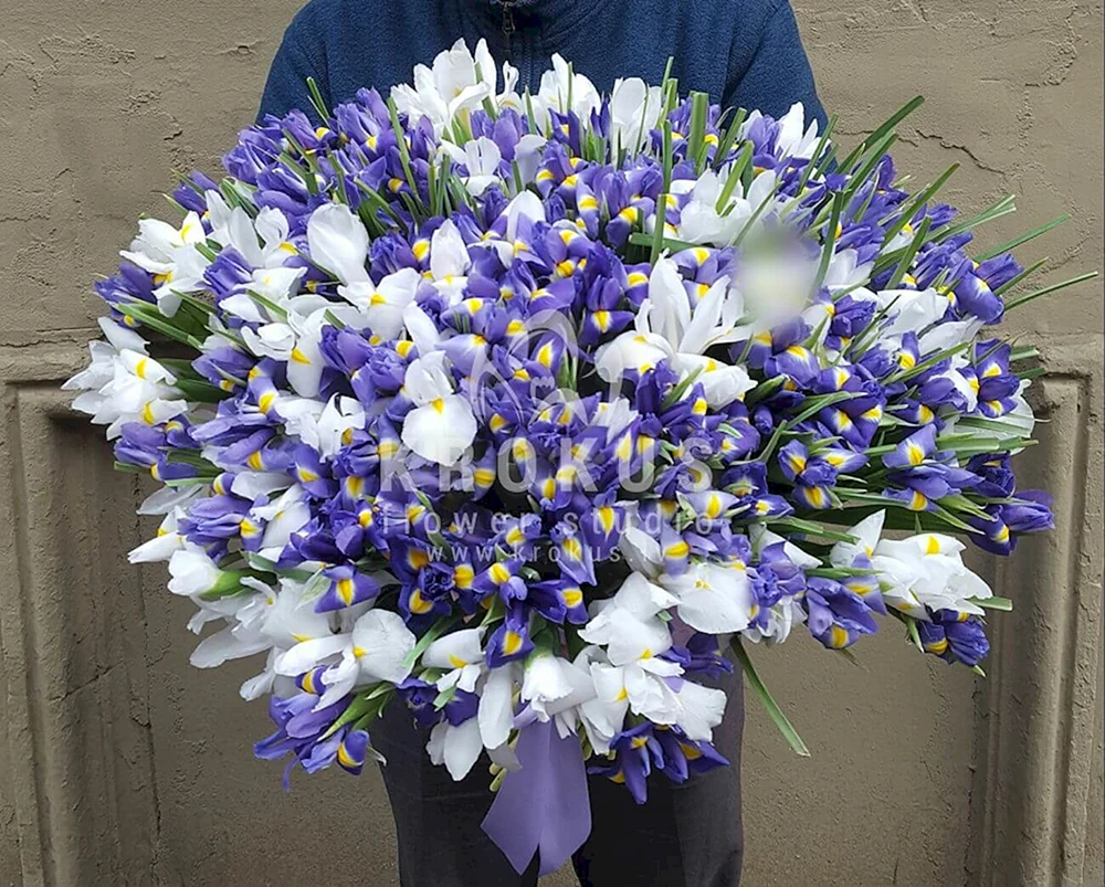 Iris- und Lisianthusstrauß