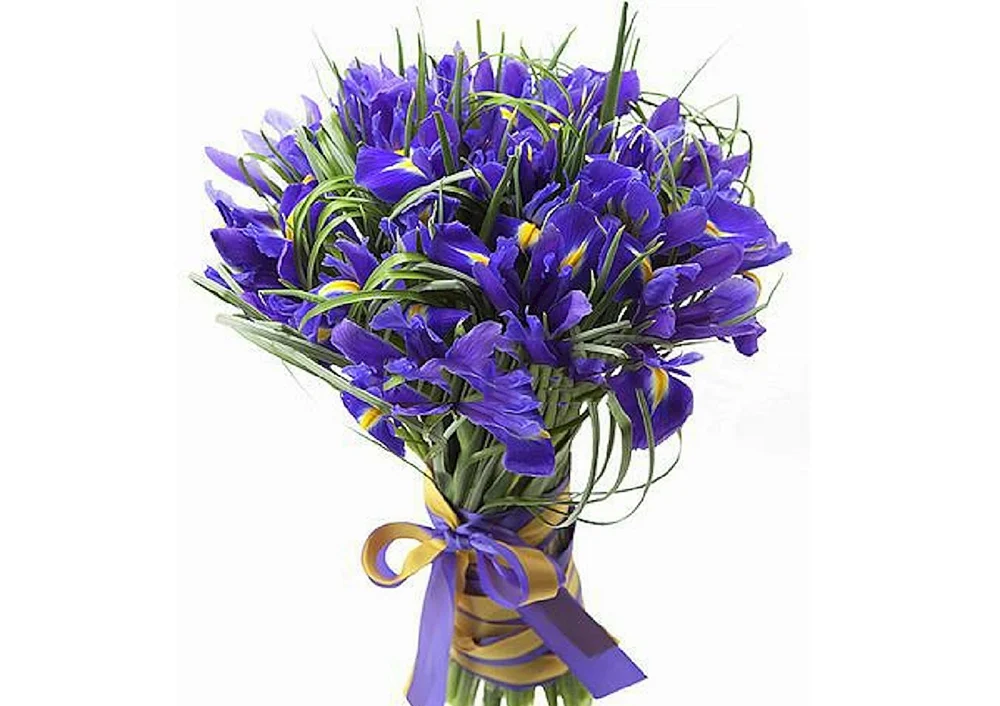 Irisstrauß in einer Vase