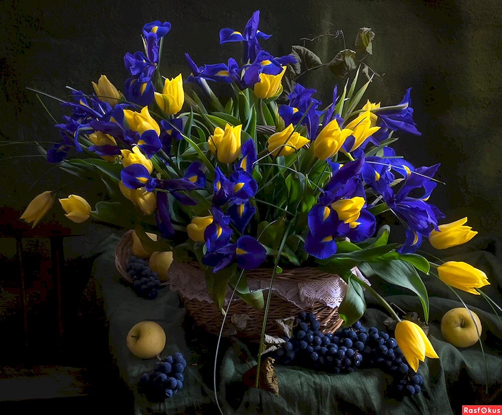 Iris Blumenstrauß