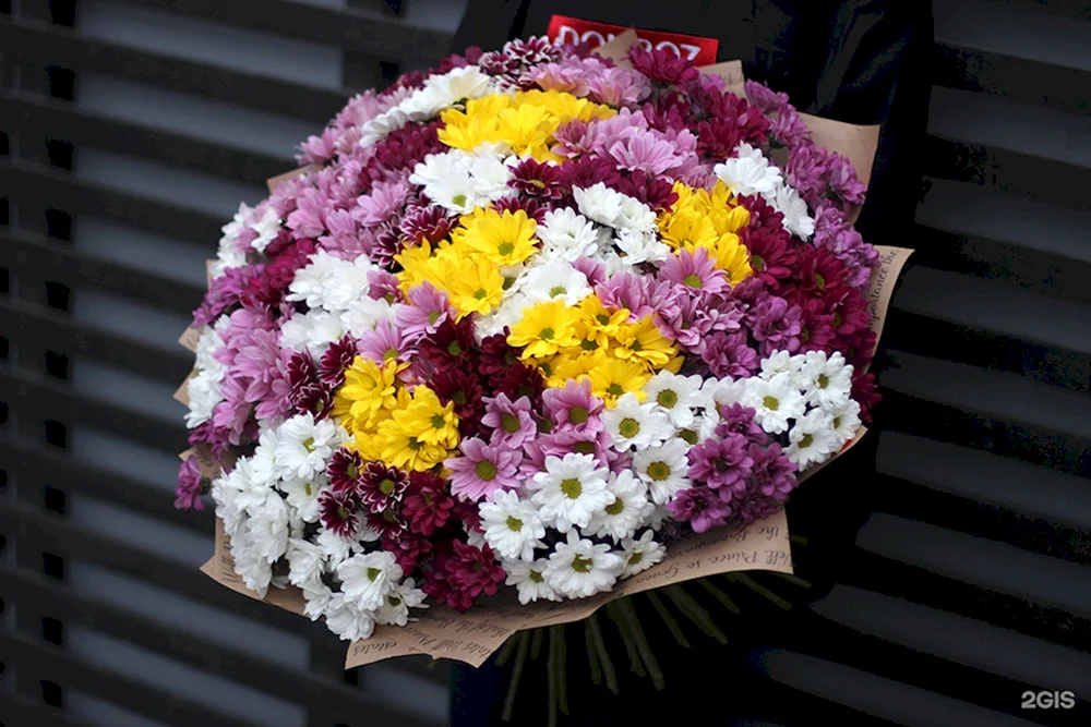 Chrysanthemenmix