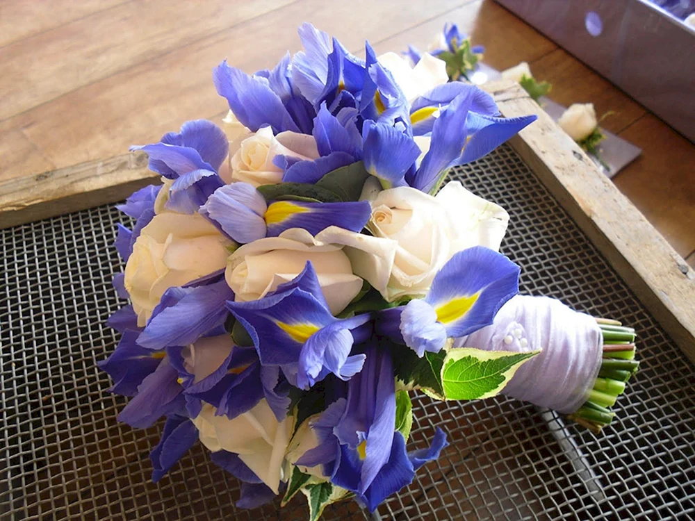 Iris Blue Magic Strauß