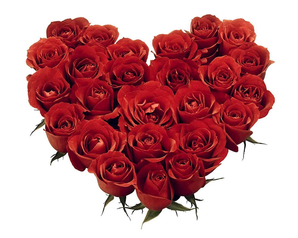 Rote Rosen