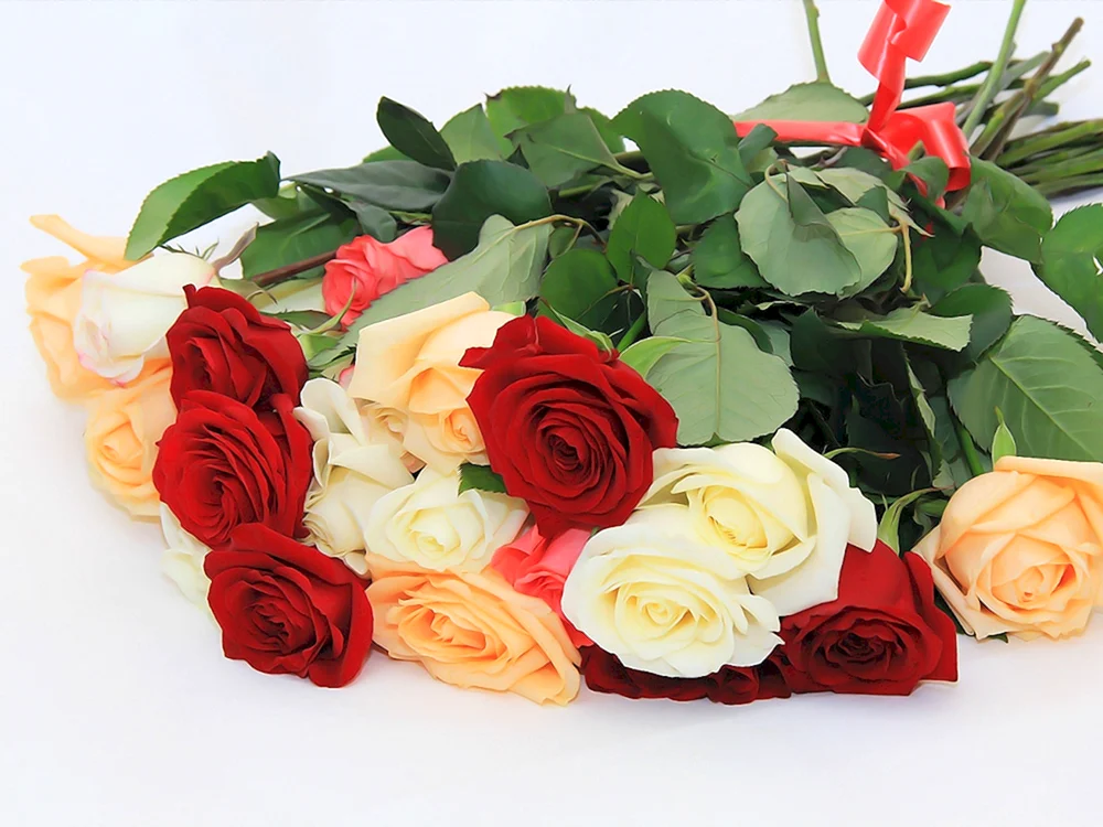 Rote Rosen