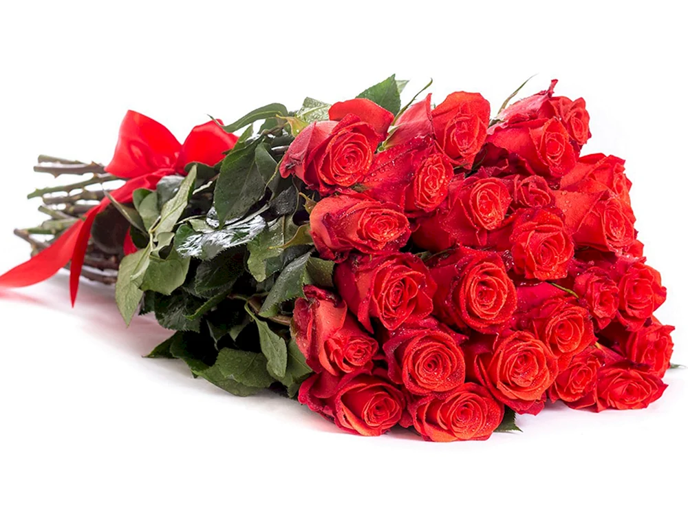 Rote Rosen