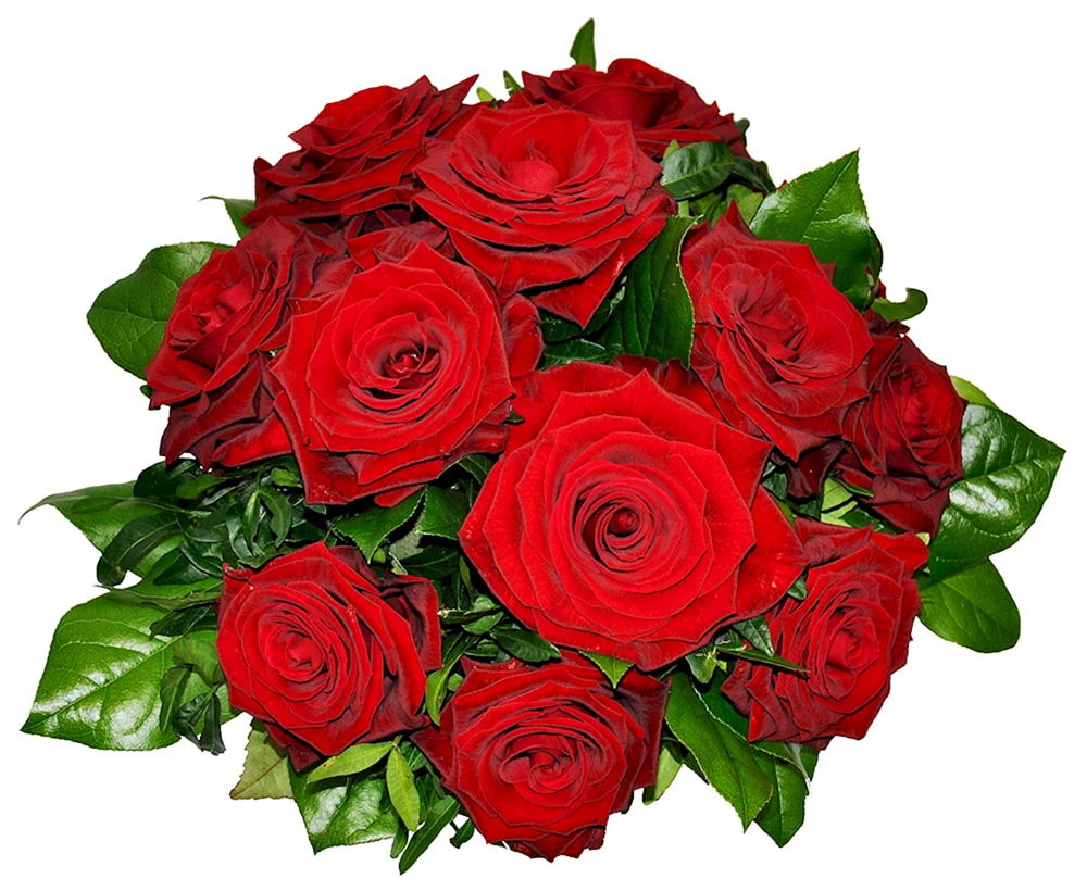 Rosenstrauß