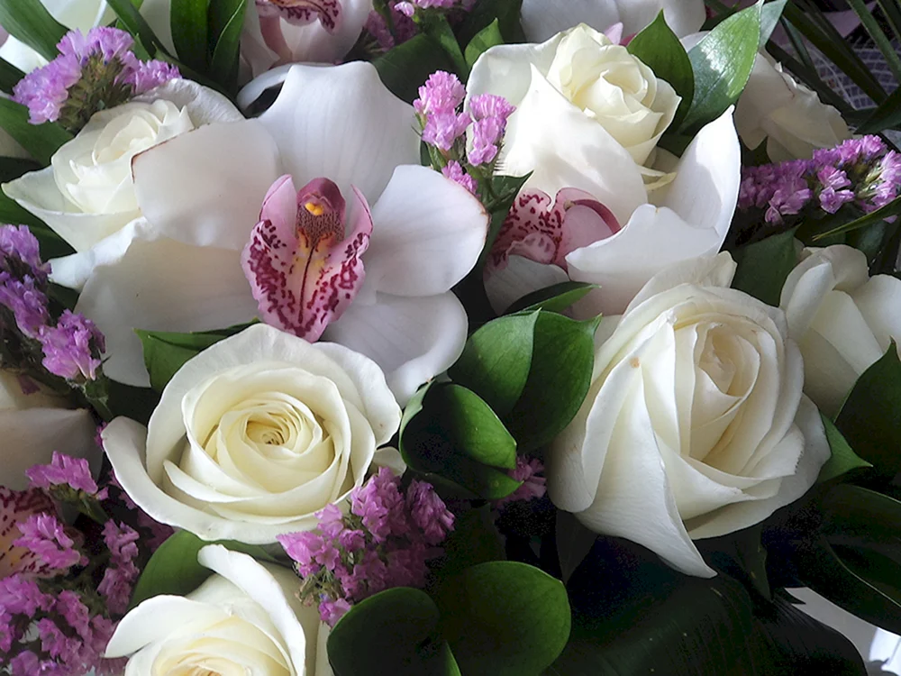 Ungewöhnliche Blumen