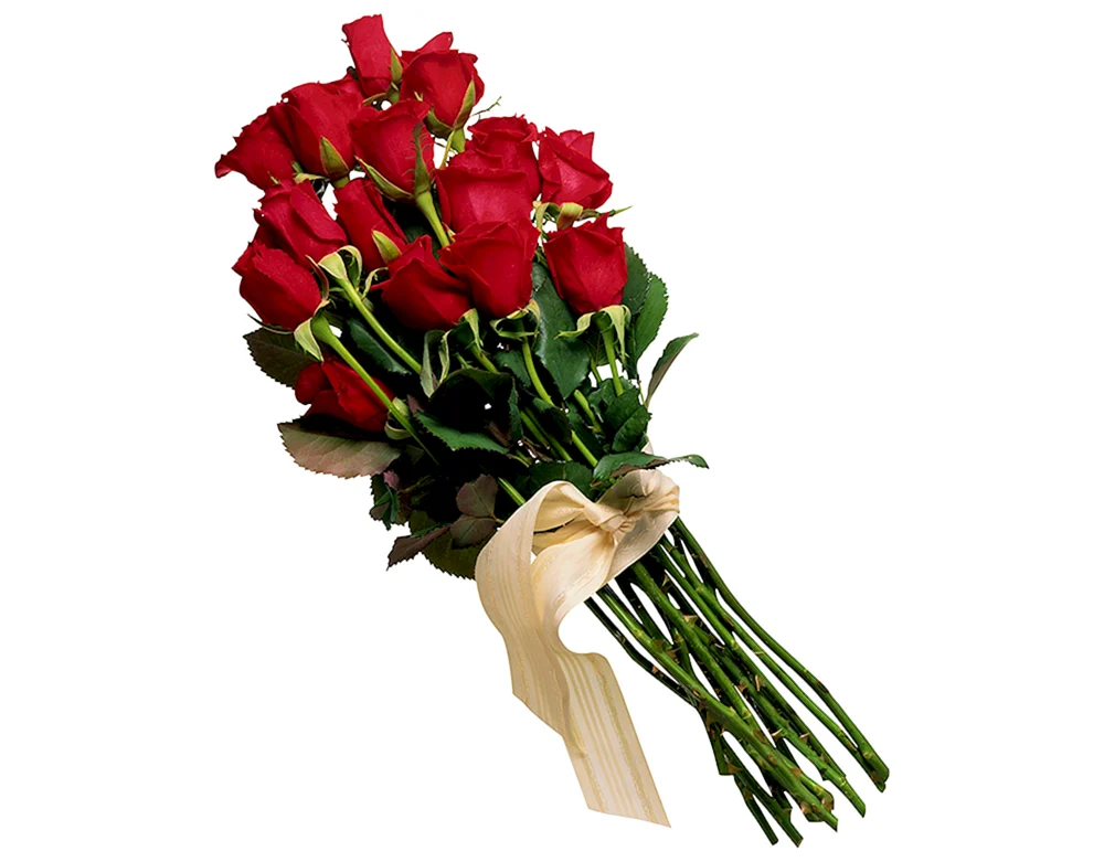 Rote Rosenkönigin