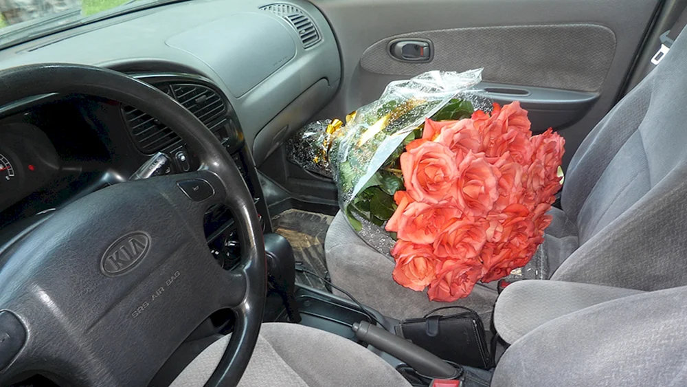 Blumen im Auto