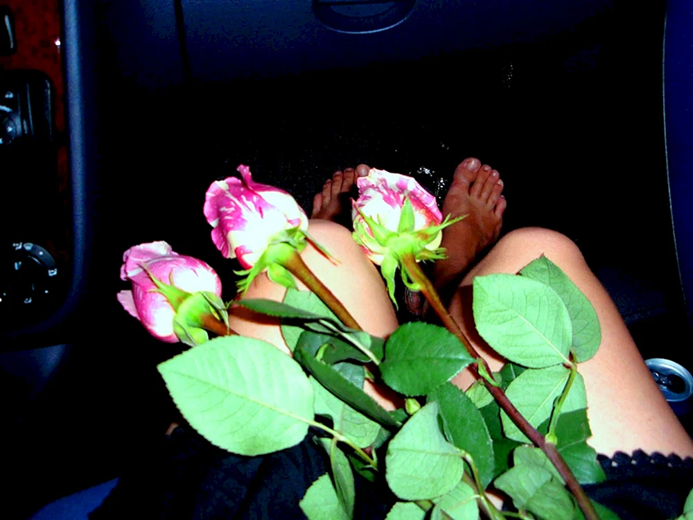 Auto mit Blumen