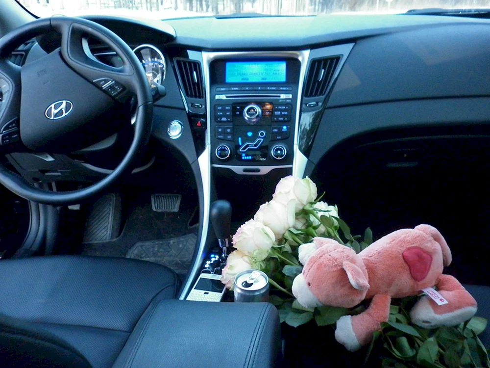 Blumen im Hyundai Solaris