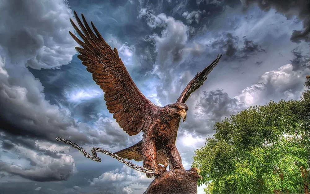 Weißkopf-Steinadler