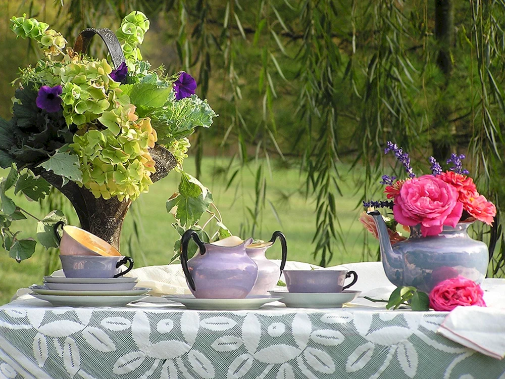 Tee mit Orangenblüten