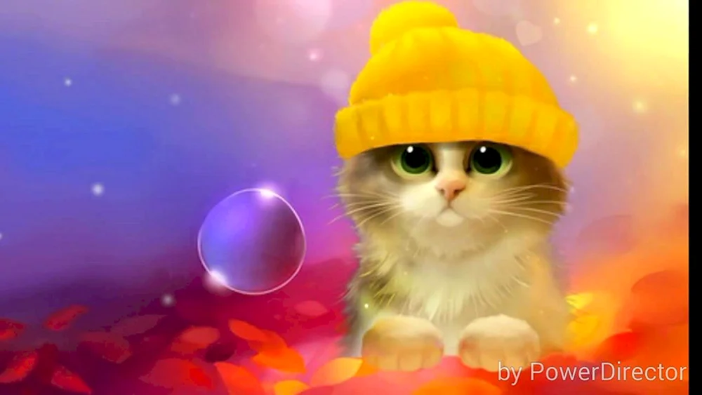 Katze mit Brille