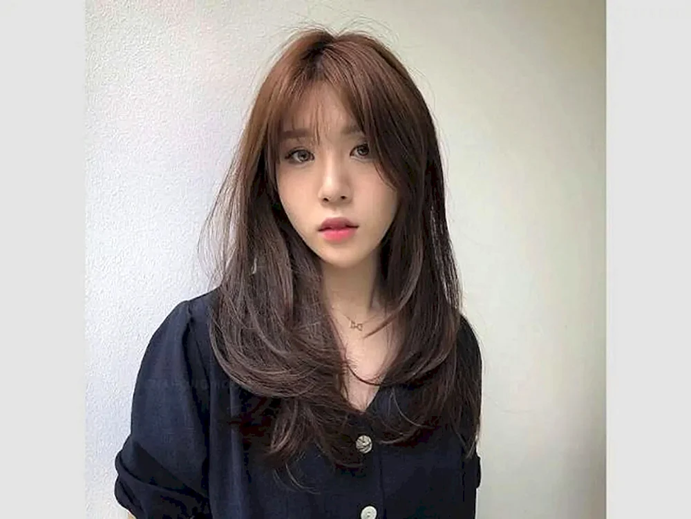 Koreanischer Cascade Pony