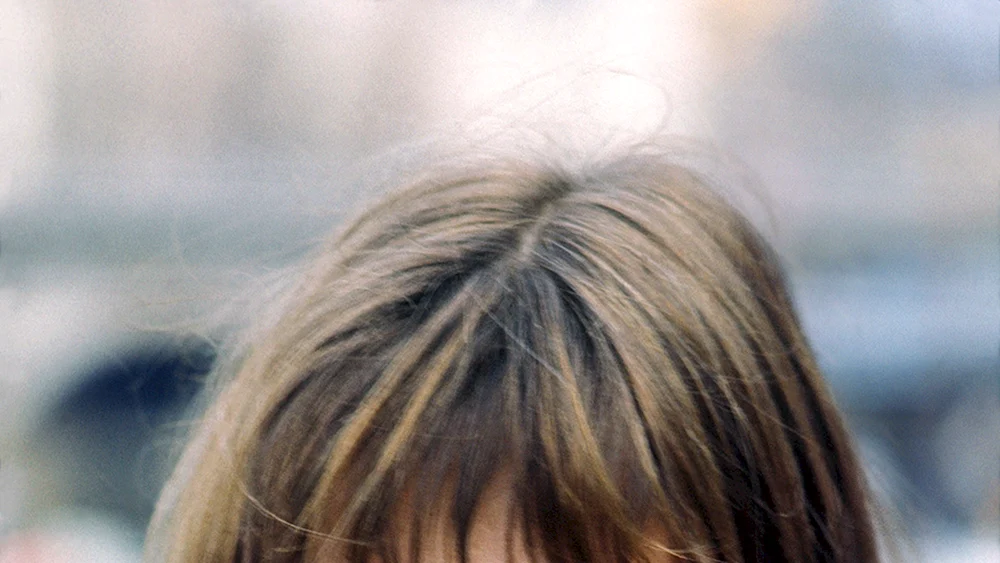 Jane Birkin