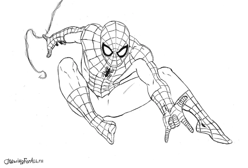 Spider-Man zeichnen zum Zeichnen