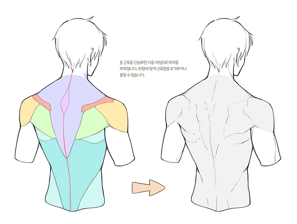 Referenz der menschlichen Rückenanatomie Referenz der menschlichen Anatomie Referenz der menschlichen Rückenanatomie Referenz der männlichen Rückenanatomie Referenz der menschlichen Rückenanatomie Referenz der menschlichen Anatomie Referenz der menschlichen Anatomie Referenz der männlichen Rückenanatomie Referenz der menschlichen Anatomie Referenz der männlichen Rückenanatomie Referenz der menschlichen Anatomie Referenz der menschlichen Rückenanatomie Referenz der menschlichen Rückenanatomie Rückenreferenz