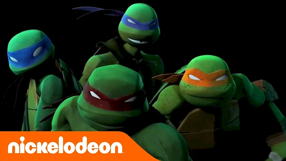 Die Ninja Turtles 2007 Donatello