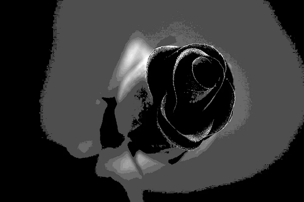 Schöne schwarze Farbe