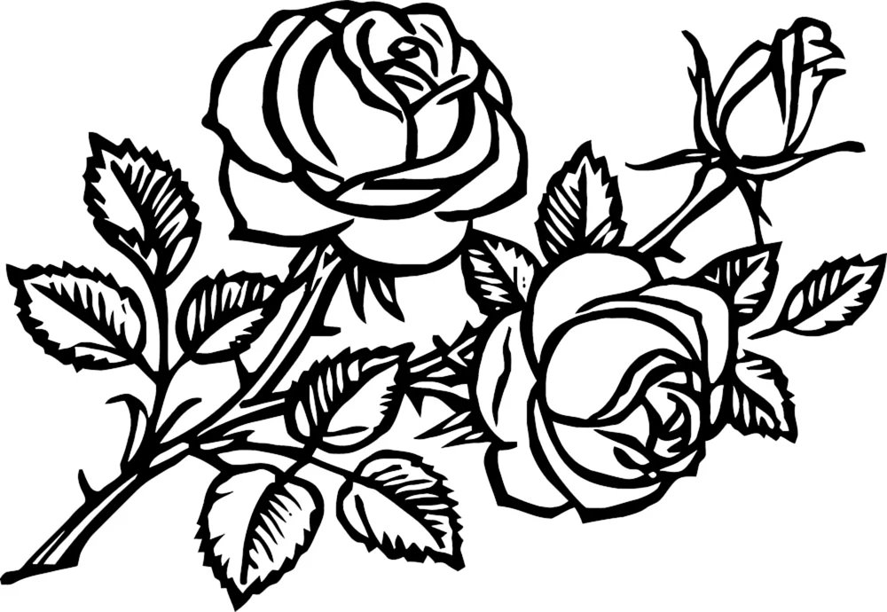Schwarz-weiße Blume weiße Blume